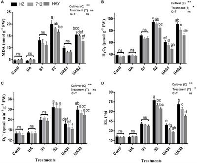 Ursolic Acid Limits Salt-Induced Oxidative Damage by Interfering With Nitric Oxide Production and Oxidative Defense Machinery in Rice